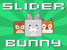 Slider Bunny