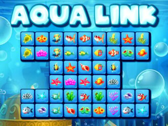 Aqua Link